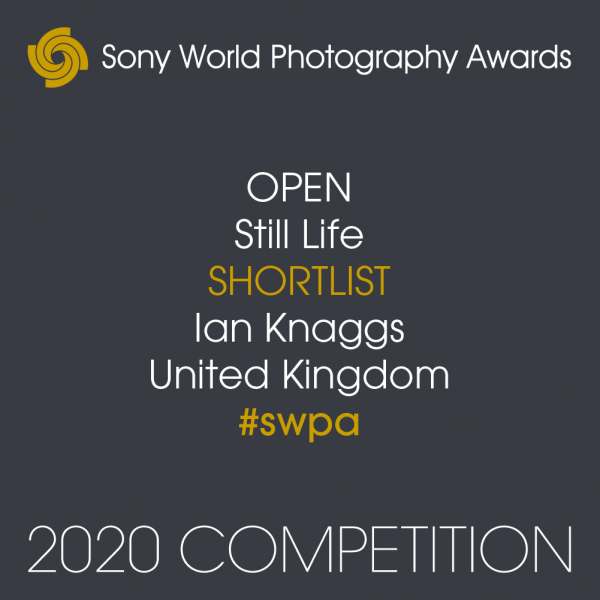 Sony World Photography Awards Badge Ian Knaggs